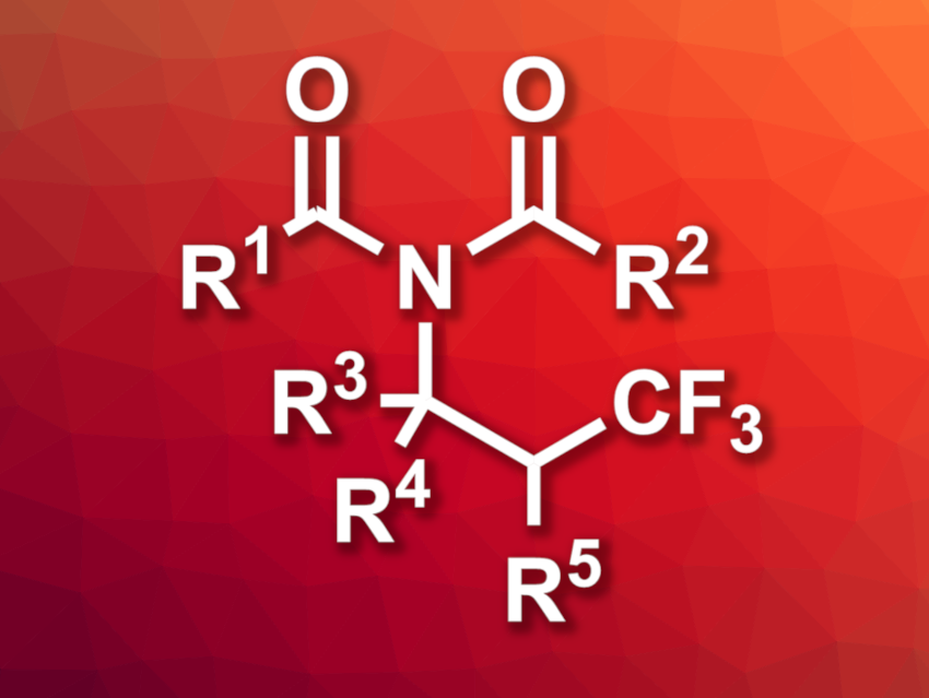 Path to β-Trifluoromethyl Imides