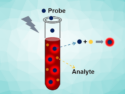 Trace Analysis of Blood Samples