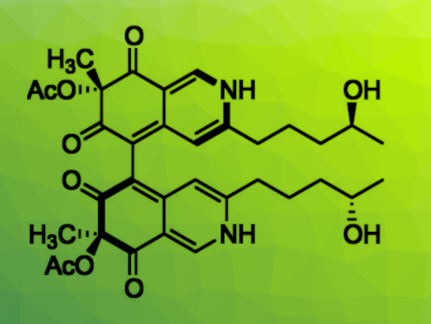 Total Synthesis of Chaetoglobin A