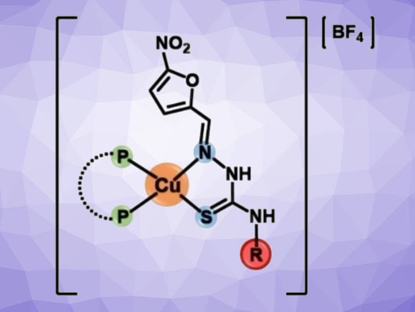 Copper(I) Complexes as Dual Anticancer and Antiparasitic Agents