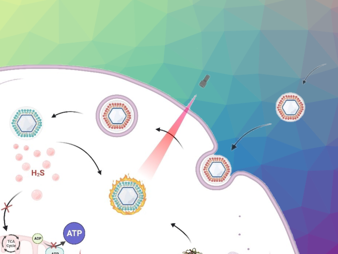 Hydrogen Sulfide in Cancer Treatment