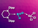 Derivative of the Parent Oxoborane Synthesized