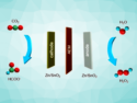 H2O2 and Formate Produced by Co-Electrolysis of Water and CO2