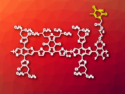 High-Performance Stretchable Polymer Solar Cells