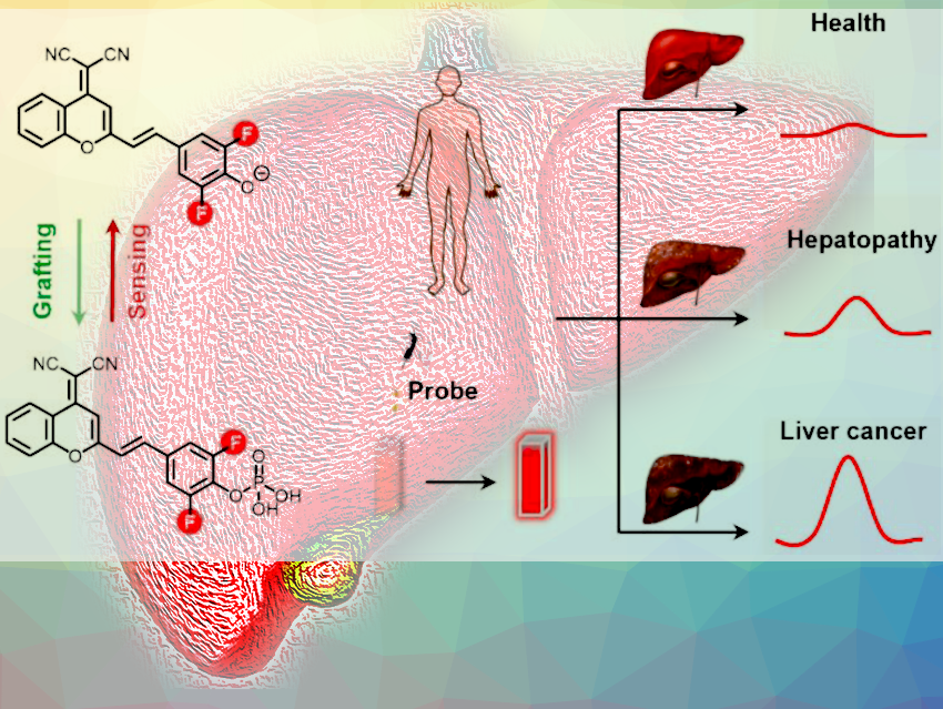 Replacing Clinical Colorimetry Methods for Liver Disease Detection