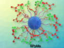 Deep-Tissue Sono-immunotherapy of Orthotopic Pancreatic Cancer