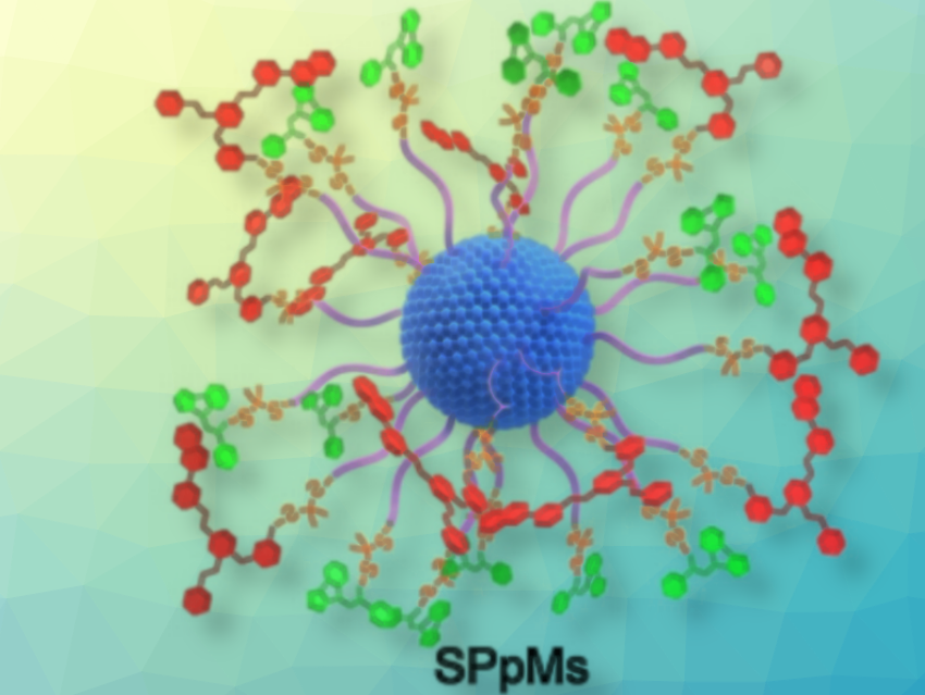 Deep-Tissue Sono-immunotherapy of Orthotopic Pancreatic Cancer