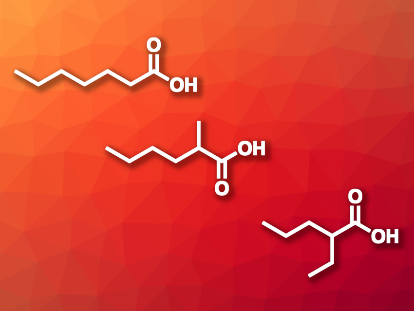 Carboxylic Acids Made from Saccharides, Carbon Dioxide, and Hydrogen