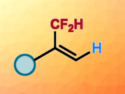 Markovnikov-Selective Hydrodifluoromethylation of Alkynes