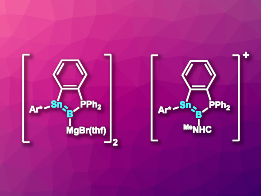 Polar Stannaborenes With an Authentic Sn=B Double Bond