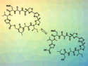 First Total Synthesis of Thiamyxins A–C and E