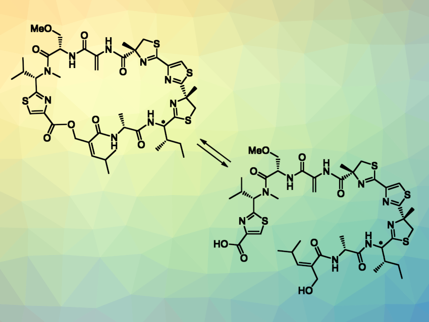 First Total Synthesis of Thiamyxins A–C and E