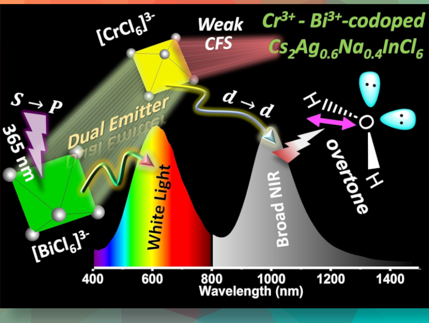 Dual-Wavelength LEDs for Enhanced Freshness Monitoring of Food