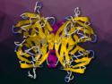 Artificial Metalloenzyme for CO2 Reduction