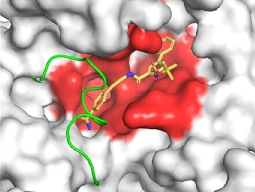 An Opportunity for Anti-Tuberculosis Drug Discovery