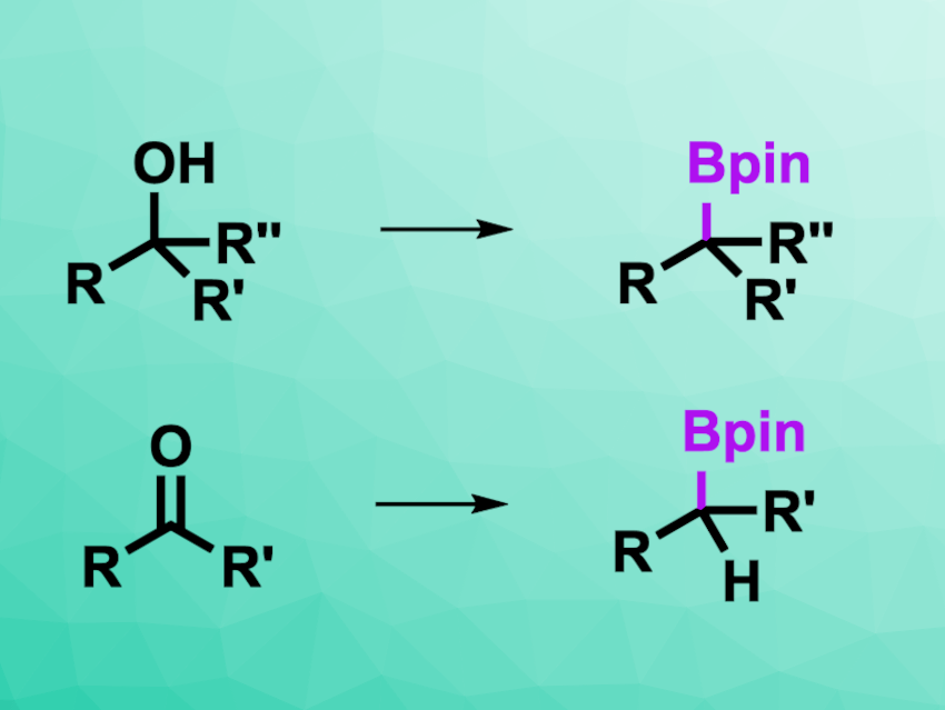 Deoxygenative Borylation of Alcohols and Carbonyl Compounds ...