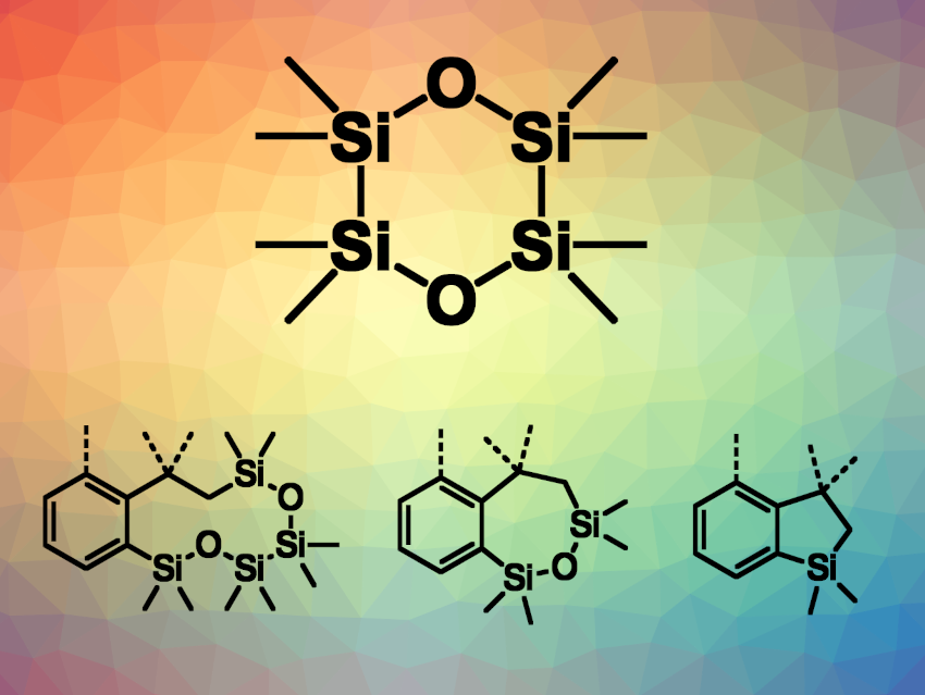 Tetrasilane Used for Divergent Synthesis of Silacycles