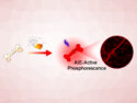 Iridium Complex for Fluorescent Bone Analysis