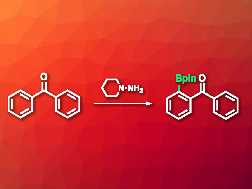 Traceless Directing Group for the Borylation of Benzophenones