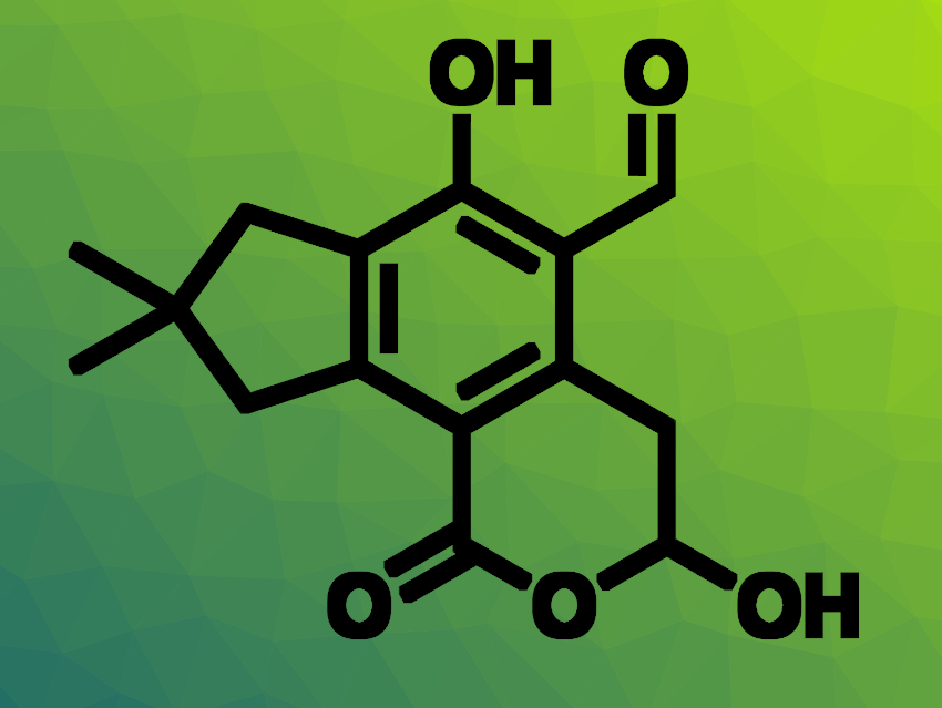 New Inhibitors Based on Illudalic Acid