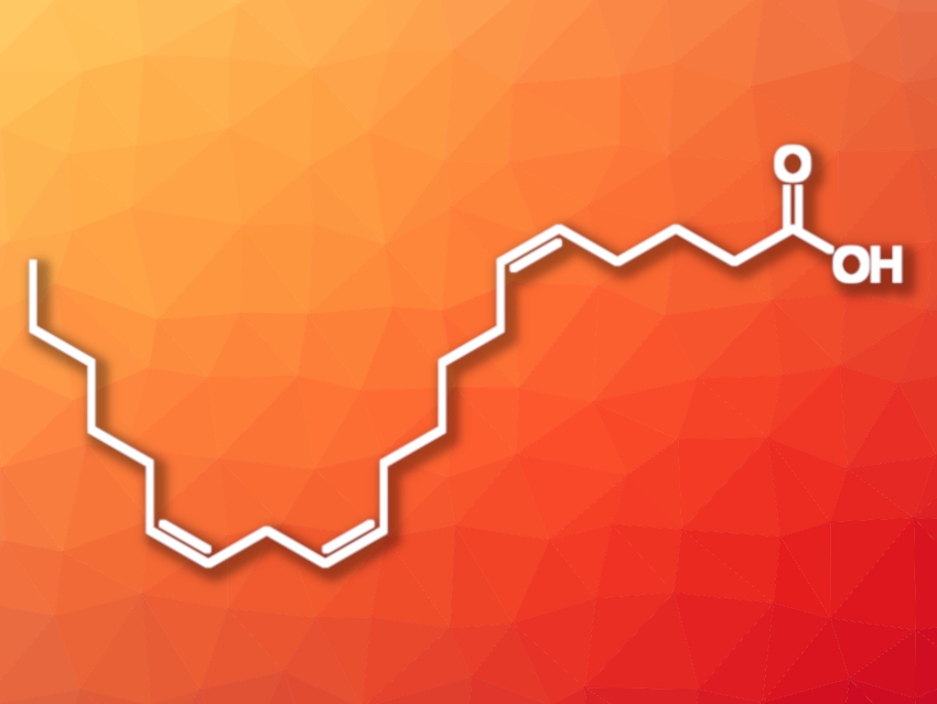 New Workflow for Fatty Acid Discovery Using Ozone