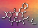 Total Synthesis of Metacridamides A and B