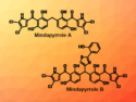 Total Synthesis of Mindapyrroles A and B
