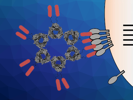 Nano-Clustered Ligands for Cancer Treatment