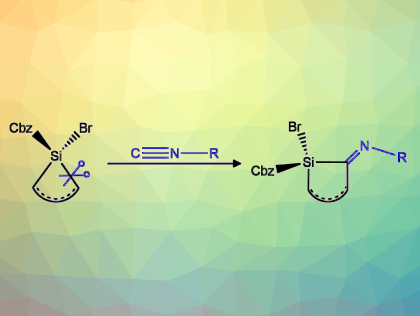Strain-Driven Ring Expansion of Silicon Heterocycles