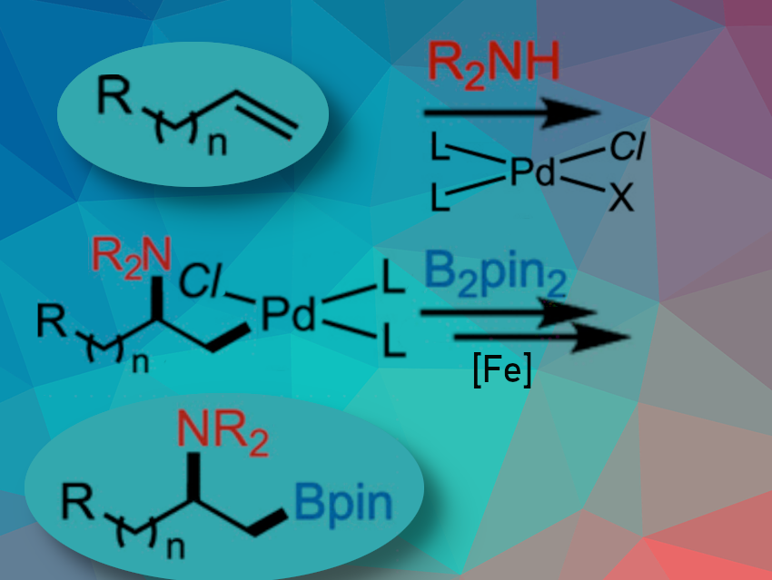 Aminoboration of Directing-Group-Free Alkenes with R2N–H