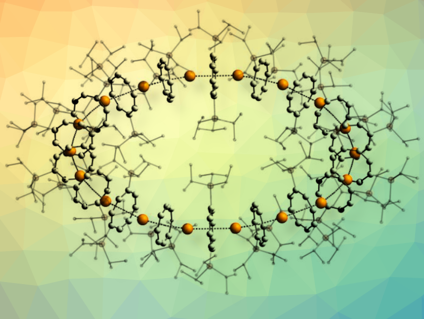 First Cyclic Sandwich Complexes