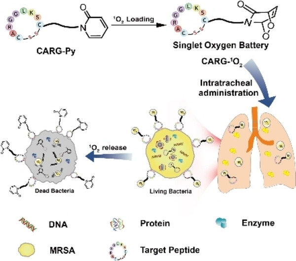 Singlet Oxygen Battery for Photodynamic Treatment of Deep Infections ...
