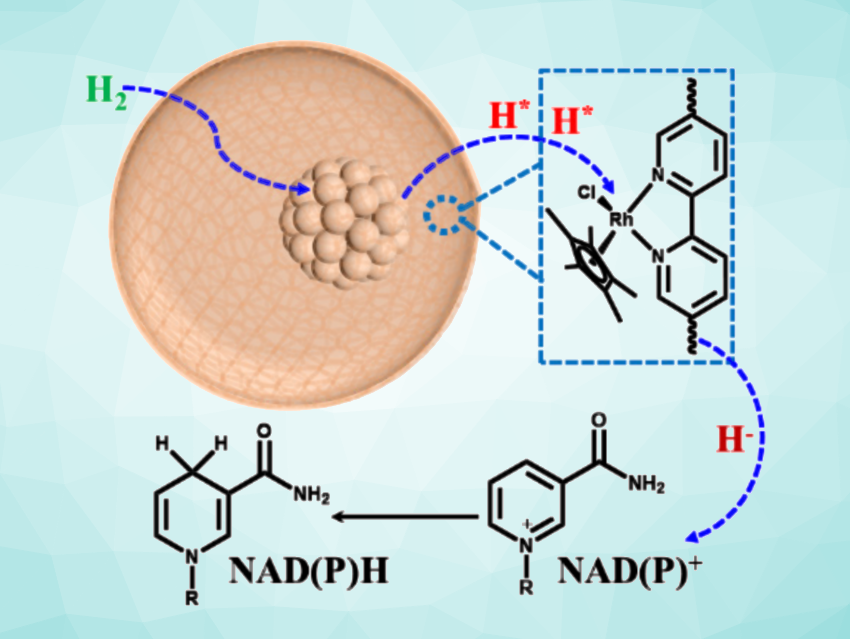 Core-Shell Nanoreactor for NAD(P)H Regeneration