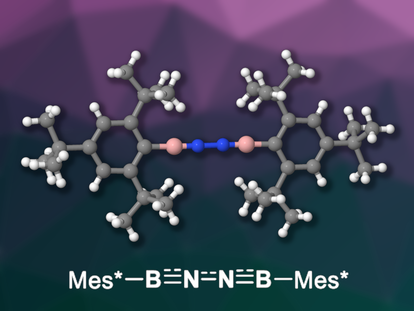 An Isolable Diiminoborane