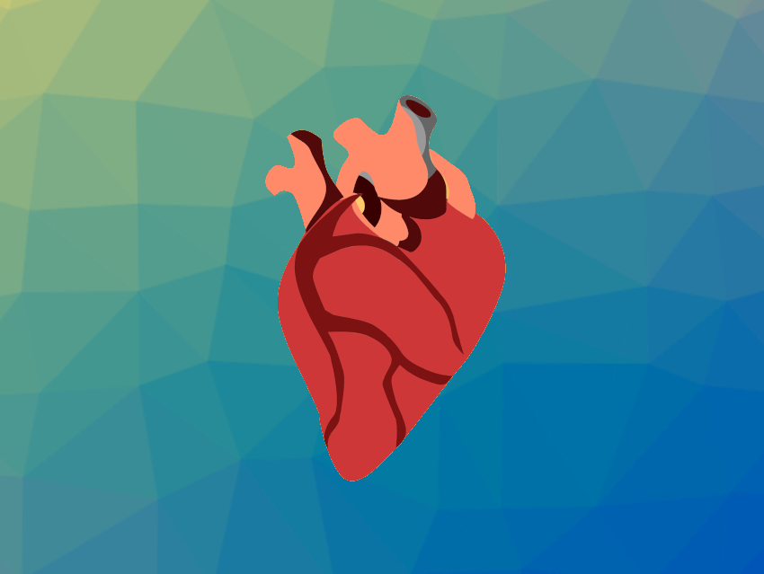 Microplastics Detected in Human Heart Tissue