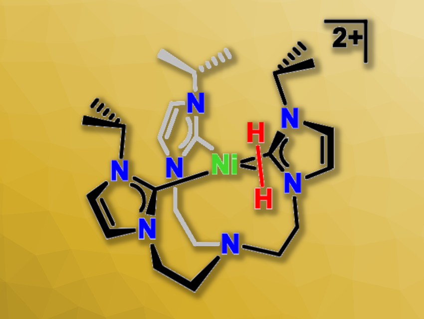 Nickel-Based Dihydrogen Formation with a Closed Synthetic Cycle