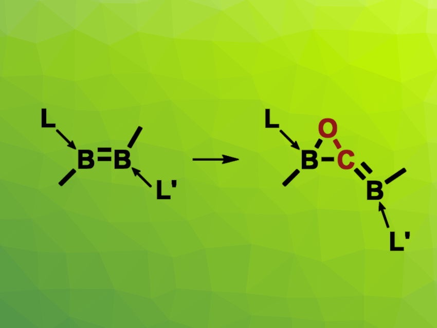 Oxaborirane Synthesized via CO Insertion into a Diborene