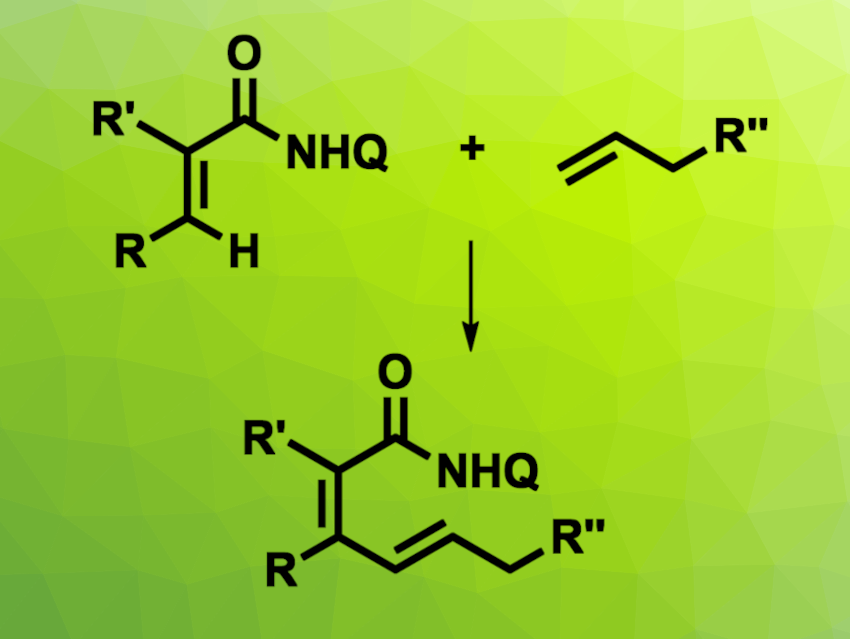 Co(III)-Catalyzed Oxidative C–H Alkenylation of Acrylamides