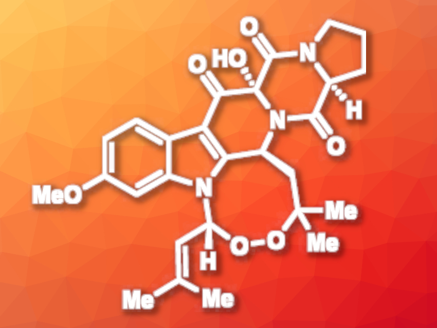 Chemoenzymatic Synthesis of 13-Oxoverruculogen