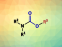 CO2-Based Carbamate Synthesis with Polymer-Supported Catalyst