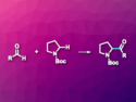 Dehydrogenative Coupling of N-Heterocycles with Aldehydes