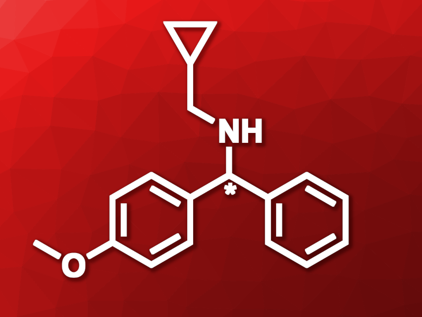 Asymmetric Synthesis of Bulky Amines Using Enzymes