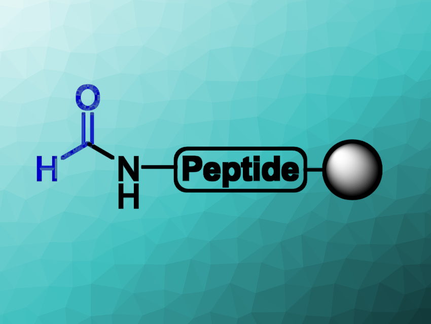Fast On-Resin N-Formylation of Peptides