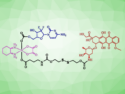 Multitargeting Prodrugs Inhibit Tumor Growth and Induce Cell Death