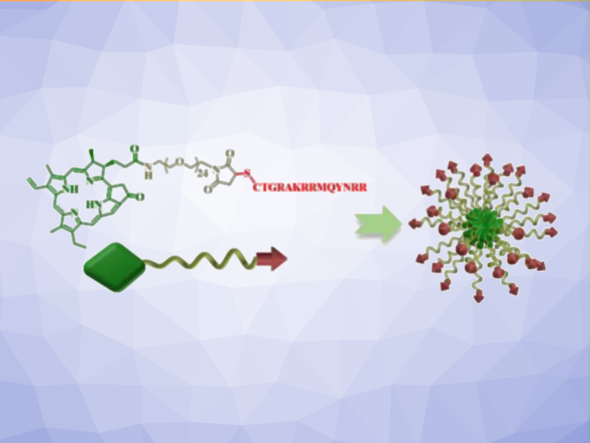 Photodynamic Therapy Kills Bacteria that Hinder Pancreatic Cancer Treatment