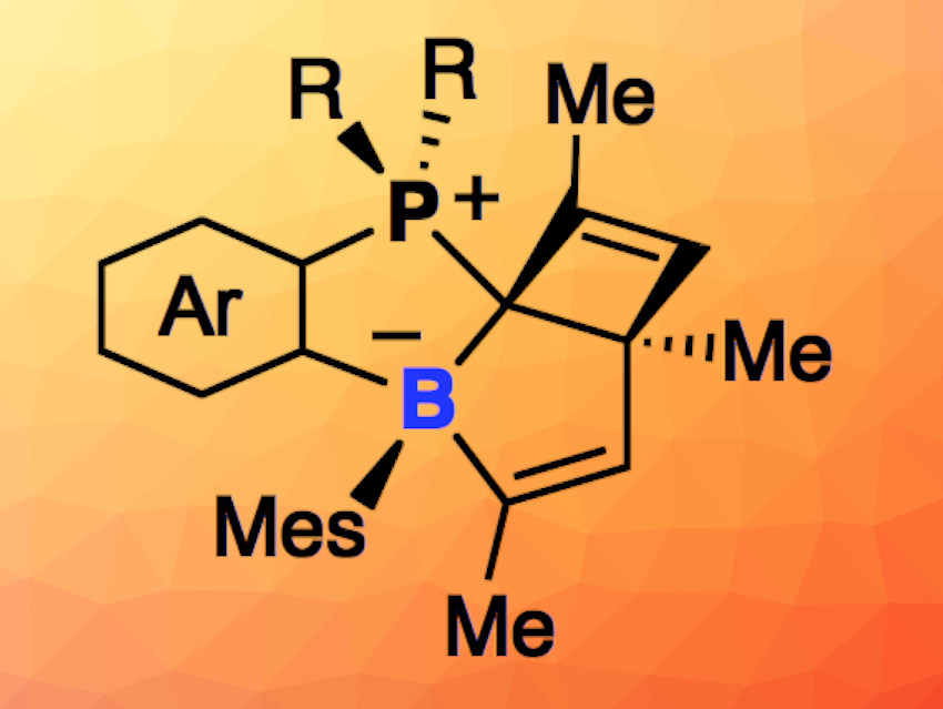 Reversible Boron Insertion into Aromatic C–C Bonds
