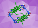 Metal–Organic Cage as a Transmembrane Transporter