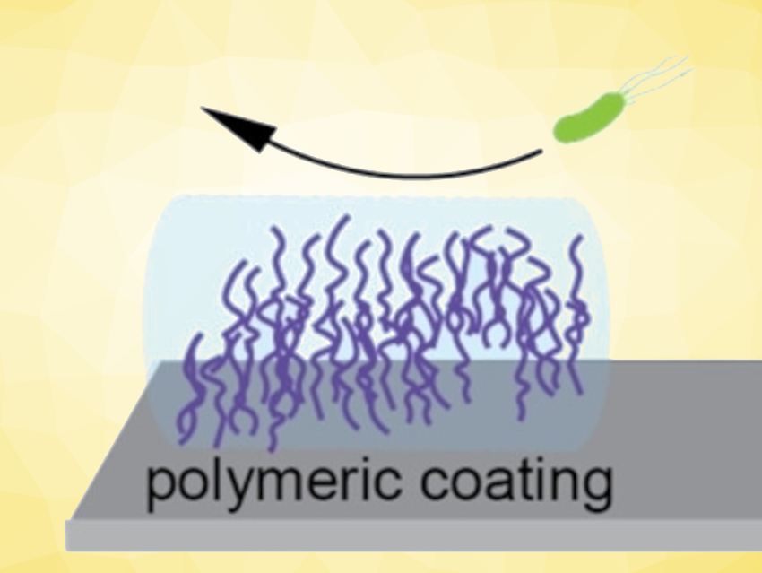 Zwitterionic Polymeric Sulfur Ylides for Antifouling Coatings