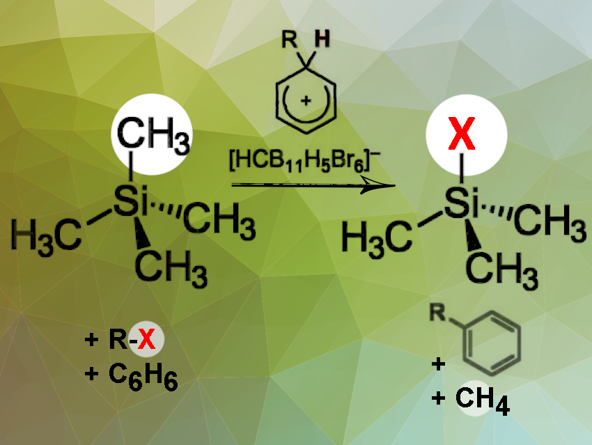 Arenium-Ion-Catalyzed Halodealkylation of Silanes