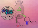 Biocatalytic Reduction of Imines in Non-Conventional Solvents